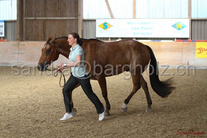 24-ApHC HIH_129.jpg